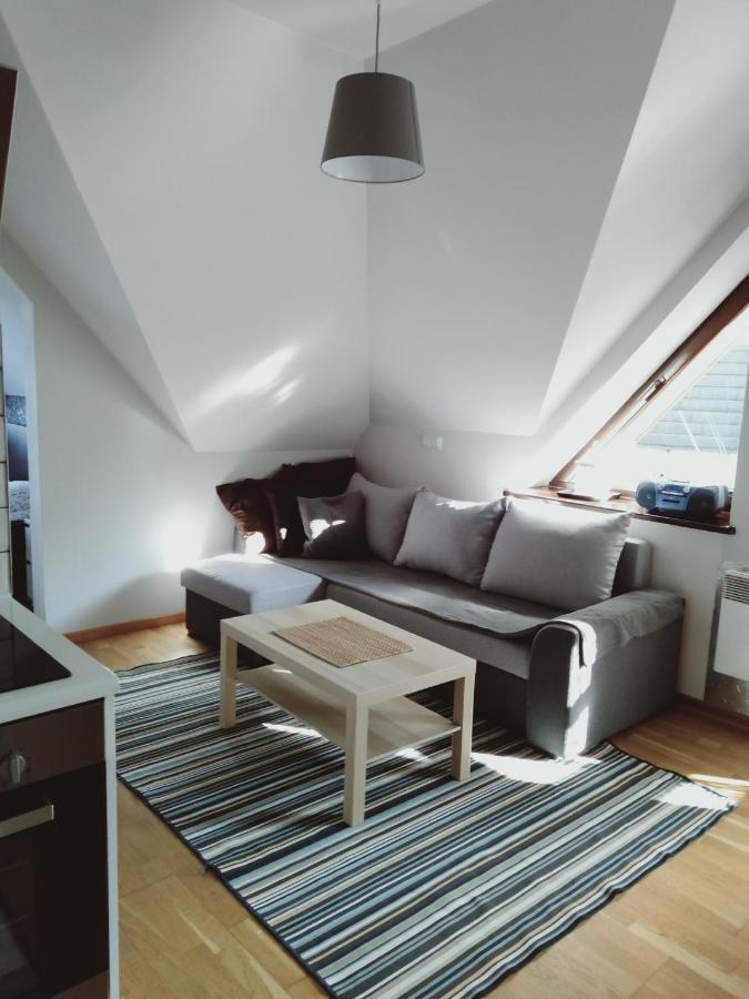 זקופאנה Apartament Kasprowy Jaszczurowka מראה חיצוני תמונה