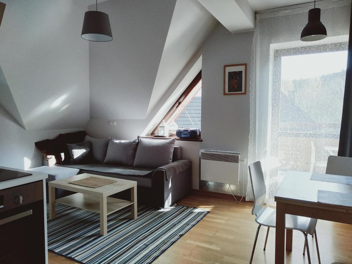 זקופאנה Apartament Kasprowy Jaszczurowka מראה חיצוני תמונה